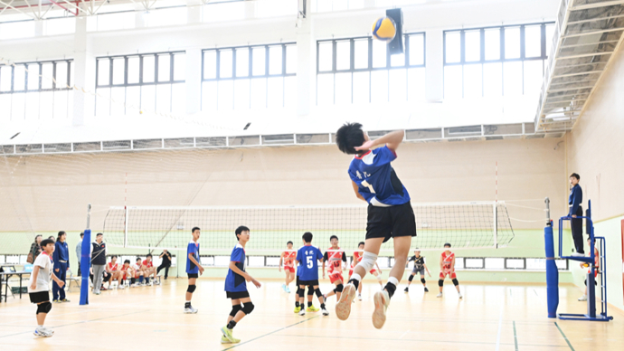 意甲前瞻：那不勒斯伤兵满营，尤文近期迎来强势反弹